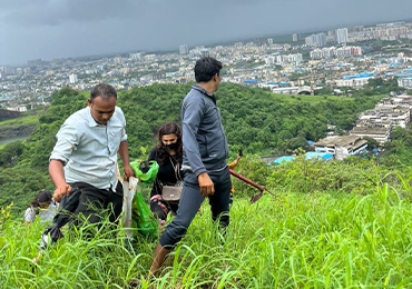 Tree Plantation