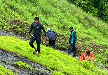 Tree Plantation