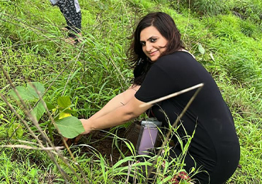 Tree Plantation