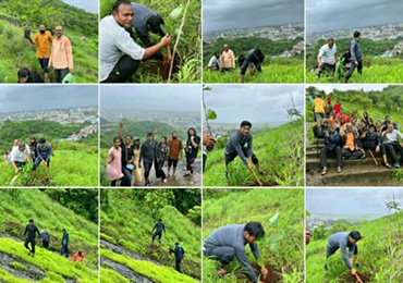 Tree Plantation