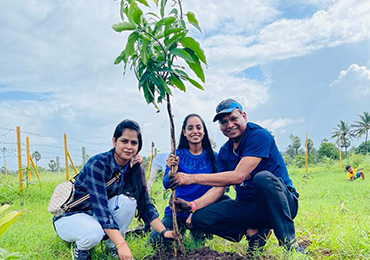Tree Plantation