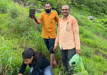 Tree Plantation