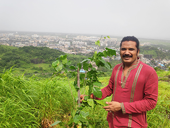 Tree Plantation