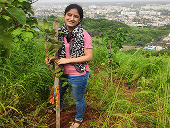 Tree Plantation