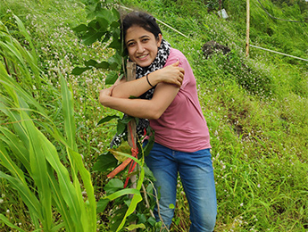 Tree Plantation